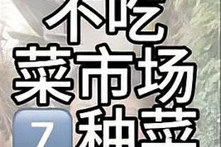 雷竞技app安卓版电竞官网